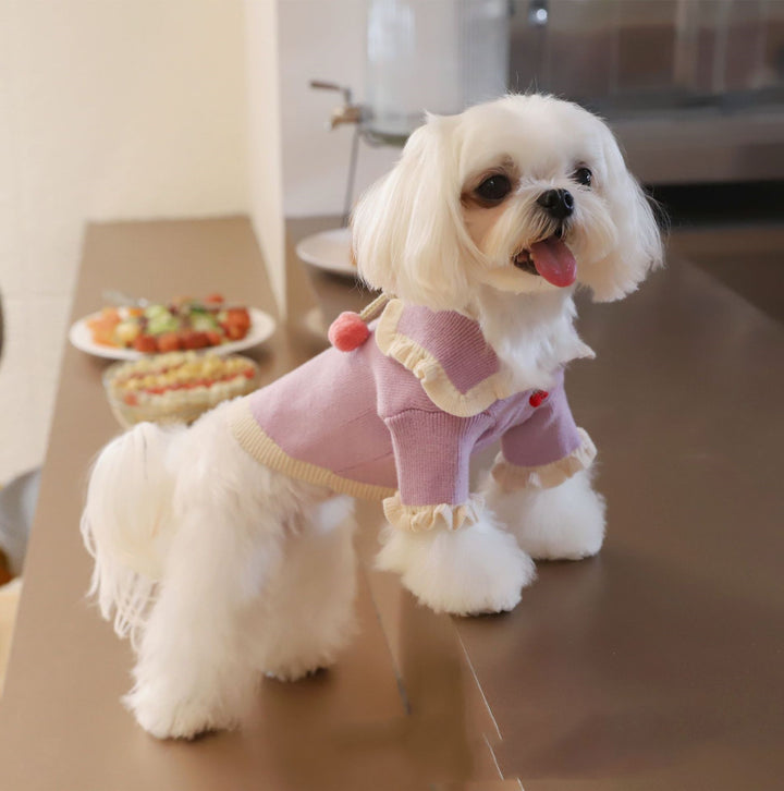 Handmade Strawberry Ball Wool Coat Dog