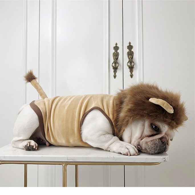 Dog Lion Supplies Cat Clothes