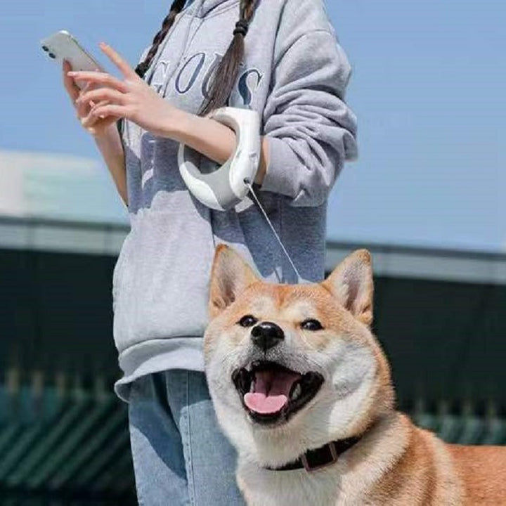 Automatic Retractable Leash Pet Supplies